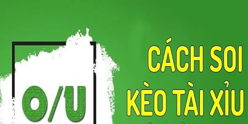 Tiết lộ 5 loại kèo nhà cái đáng thử nhất 
