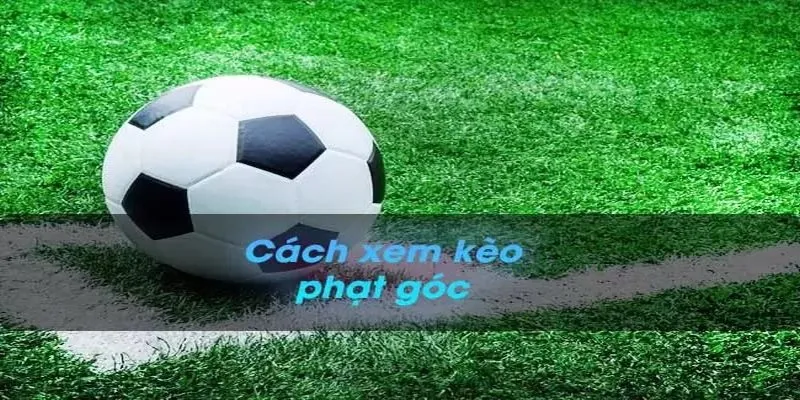 Kèo Phạt Góc Là Gì? Kinh Nghiệm Soi Kèo Phạt Góc Bất Bại